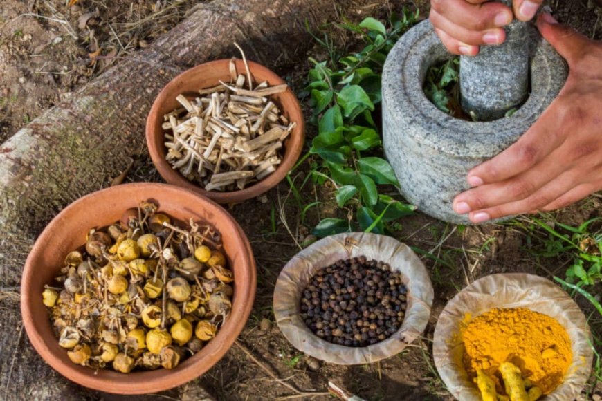 Cleansing the Body